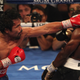 Illustration for article titled Manny Pacquiao Was Screwed, Says Literally Everyone Associated With Shady Sport